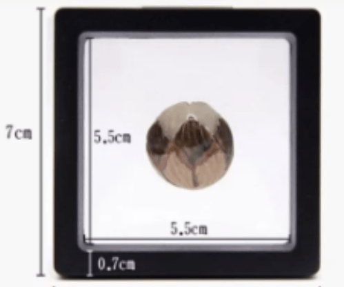 Floating Frame And Circular Base 3D Display Jewelry Case Box Suspension Storage PE Film Organizer